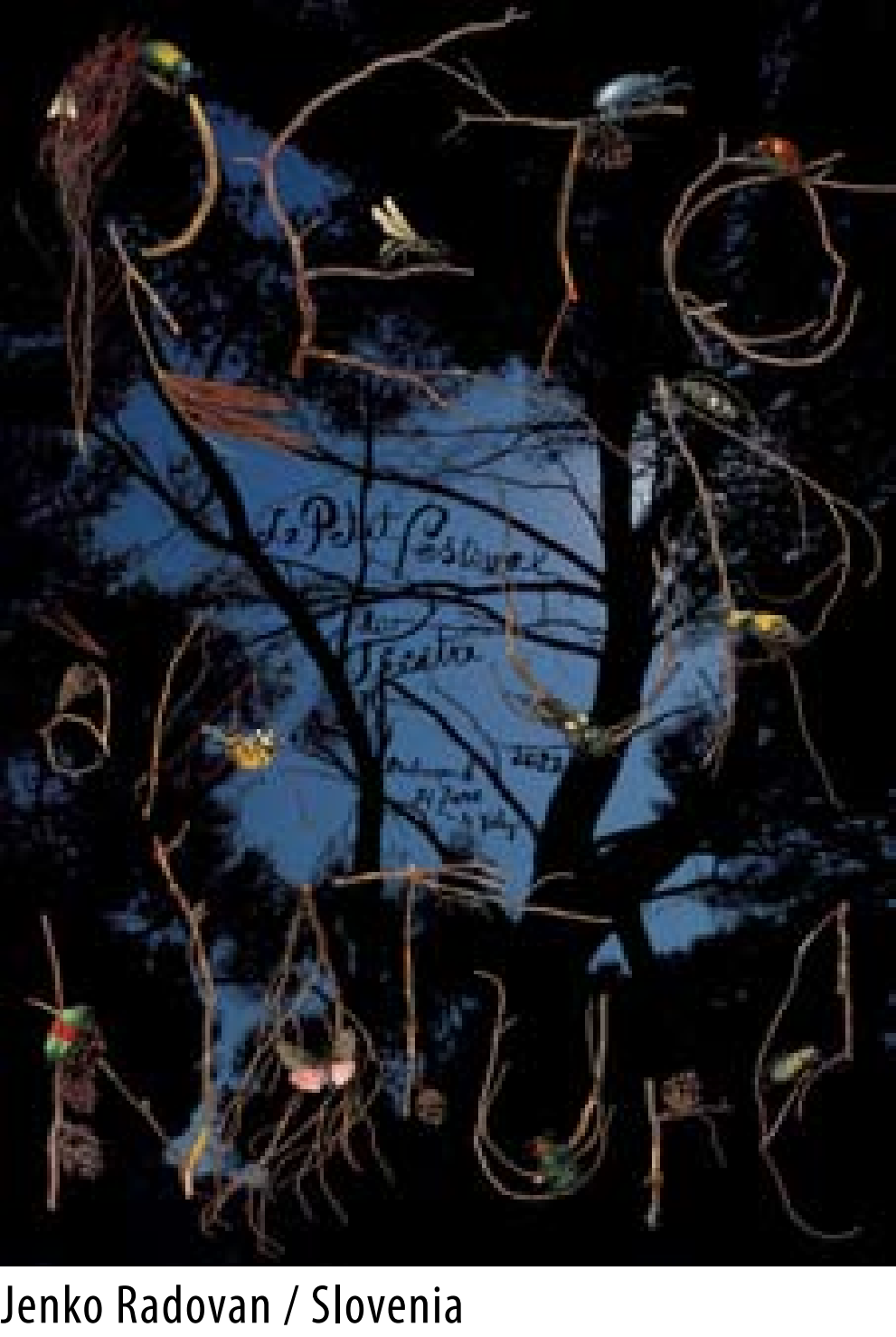 2022��18�첨����������Ϸ�纣��˫��չ��ѡ��Ʒ