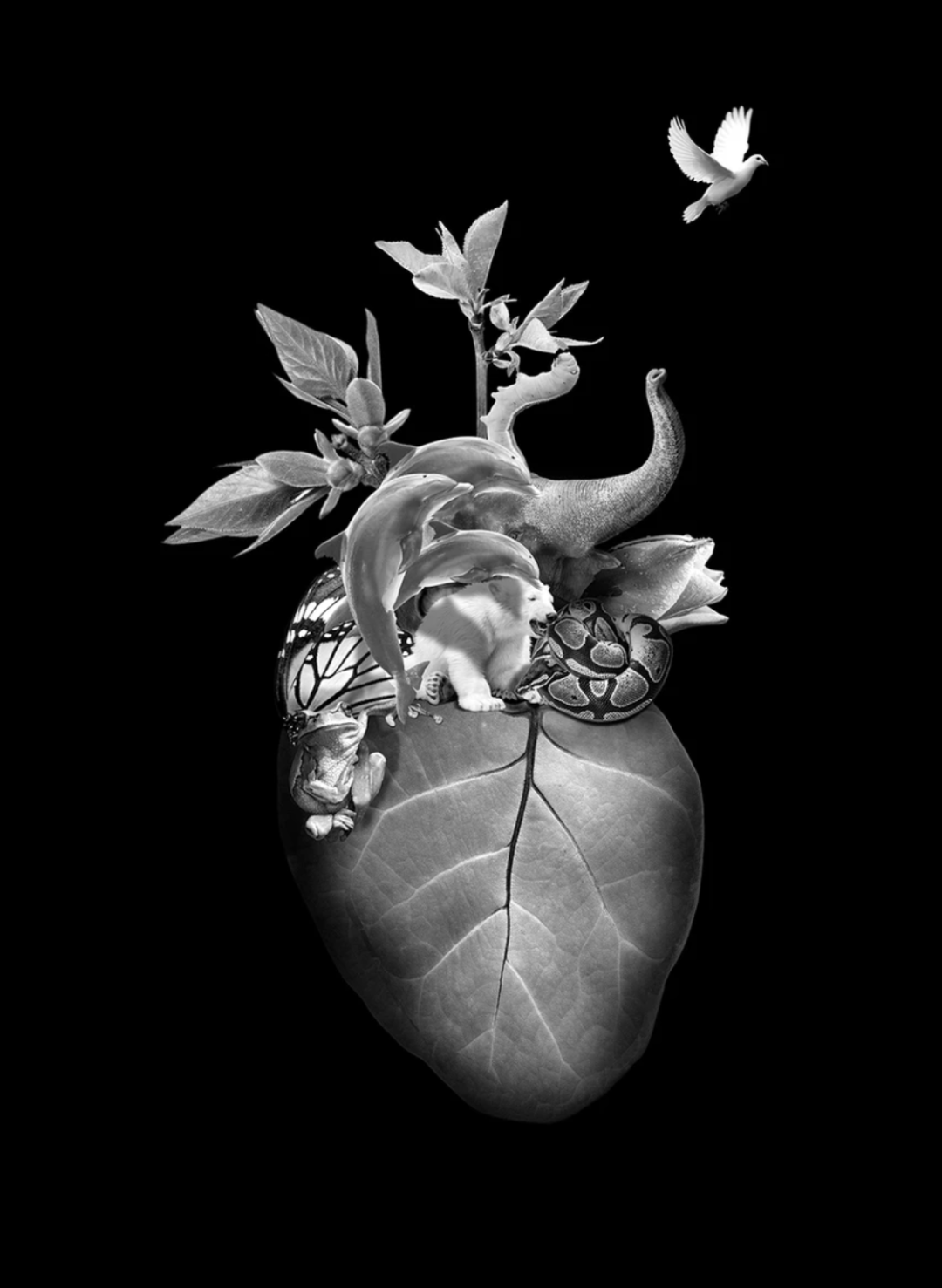 2022�ڶ������� POSTER STELLARS �޼ʺ�����������Ʒ