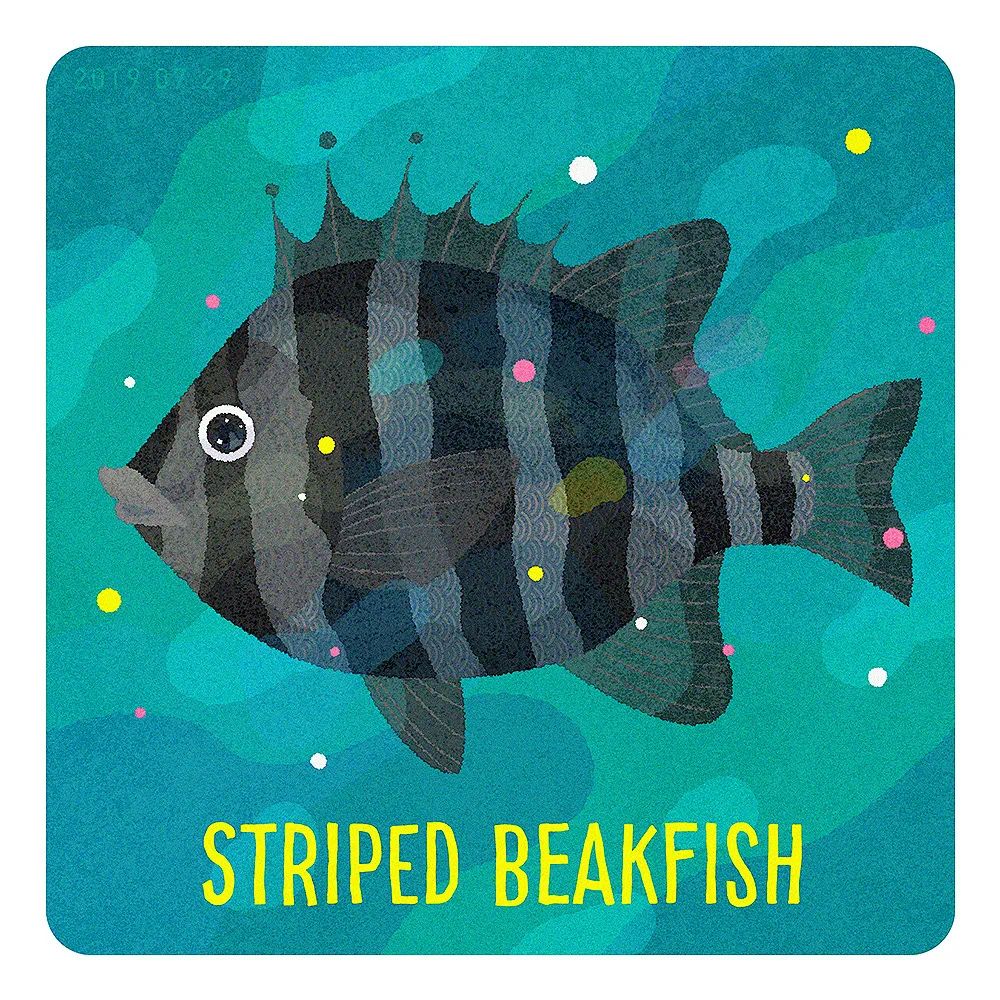 �ձ�<a href=http://m.biwataku.com/ target=_blank class=infotextkey>18luck����ȫվ</a>ʦ��ɽ�c�����庣��<a href=http://m.biwataku.com/ target=_blank class=infotextkey>18luck����ȫվ</a>��Ʒ