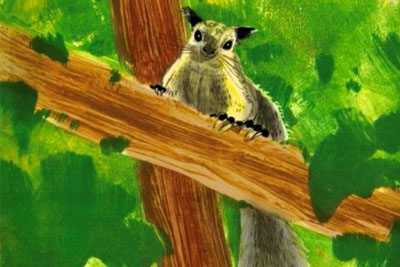 ˢ���ļ�¼Ƭ����Ұ���ϡ��ڶ�������18luck����ȫվ����