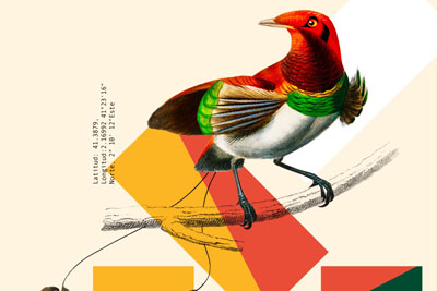 �߼��ʸж������⺣��18luck����ȫվ�ο�