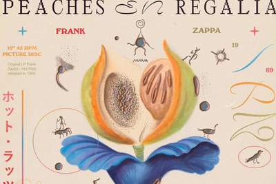 Studio Angello Torres�������Ի����18luck����ȫվ����