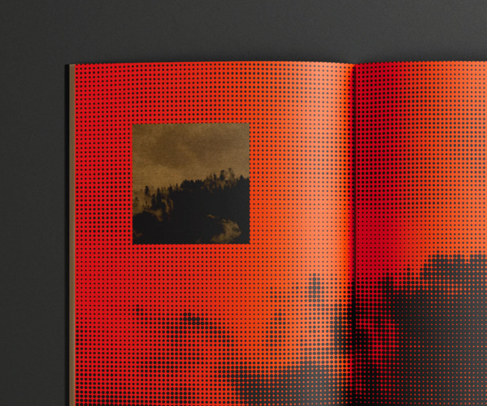 Brooke RodriguezƯ���Ļ���<a href=http://m.biwataku.com/ target=_blank class=infotextkey>18luck����ȫվ</a>����