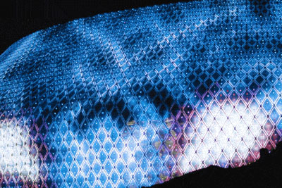 2022���ȫ��TOP10����18luck����ȫվ