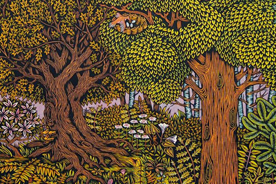 �����ҵ�ľ�滭֮��