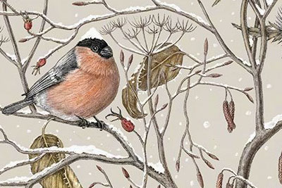 ֲ��滭����֮��