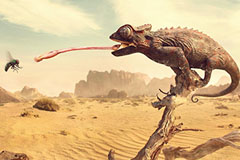 �¹��ִ�����ƽ����18luck����ȫվ���ͣ�ֻ���������ʹ�õ�ǰ����������