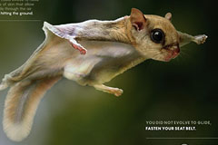 ����͢Maipu����ƽ����18luck����ȫվ