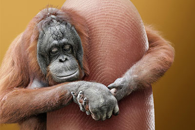 �µ�����ɫ��ƽ��֯ƽ����18luck����ȫվ�������ҵ����