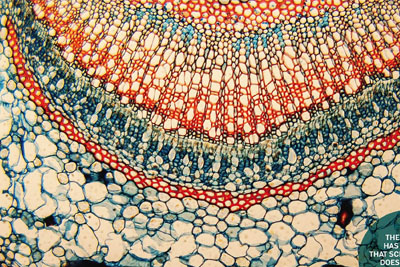 ����ease Labs��ҩƽ����18luck����ȫվ