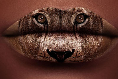 ��������Meristemƽ����18luck����ȫվ�������ȷ�Ļ���