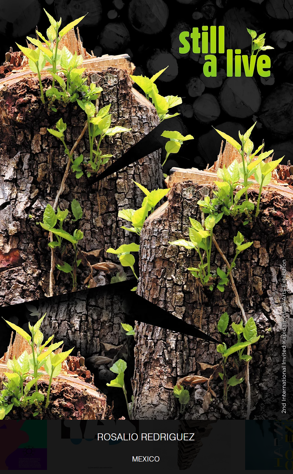 2022�ڶ��쿨����������<a href=http://m.biwataku.com/ target=_blank class=infotextkey>18luck����ȫվ</a>����չ������Ʒ