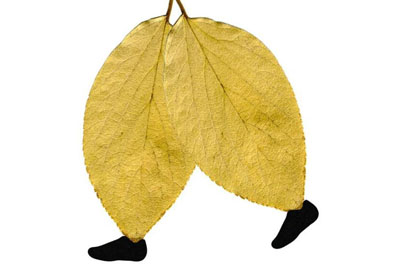 �����ӵ��޵�18luck����ȫվʦǻ��