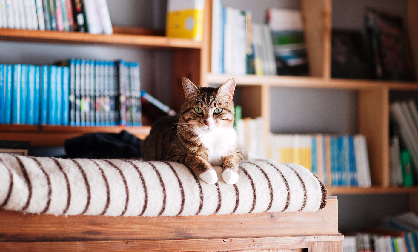 �׶�Minoa���Ʒ��VI<a href=http://m.biwataku.com/ target=_blank class=infotextkey>18luck����ȫվ</a>