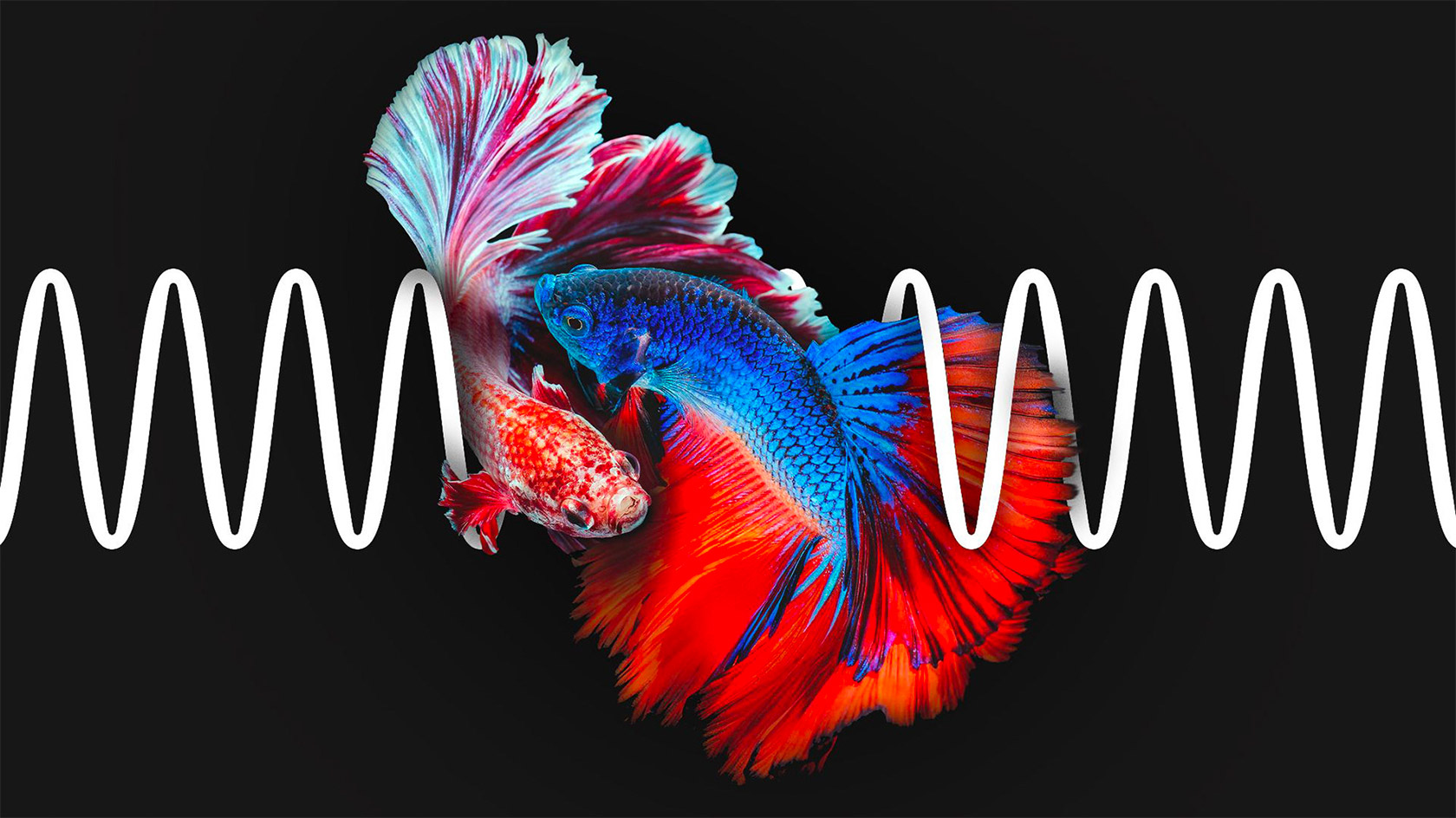 �����ֹ��Ҳ����Ʒ���Ӿ�<a href=http://m.biwataku.com/ target=_blank class=infotextkey>18luck����ȫվ</a>����