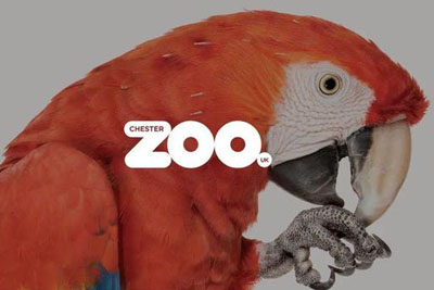 ̨��ʡ̨����������԰Ʒ��VI18luck����ȫվ�����׶���԰Ʒ���Ӿ�18luck����ȫվ����