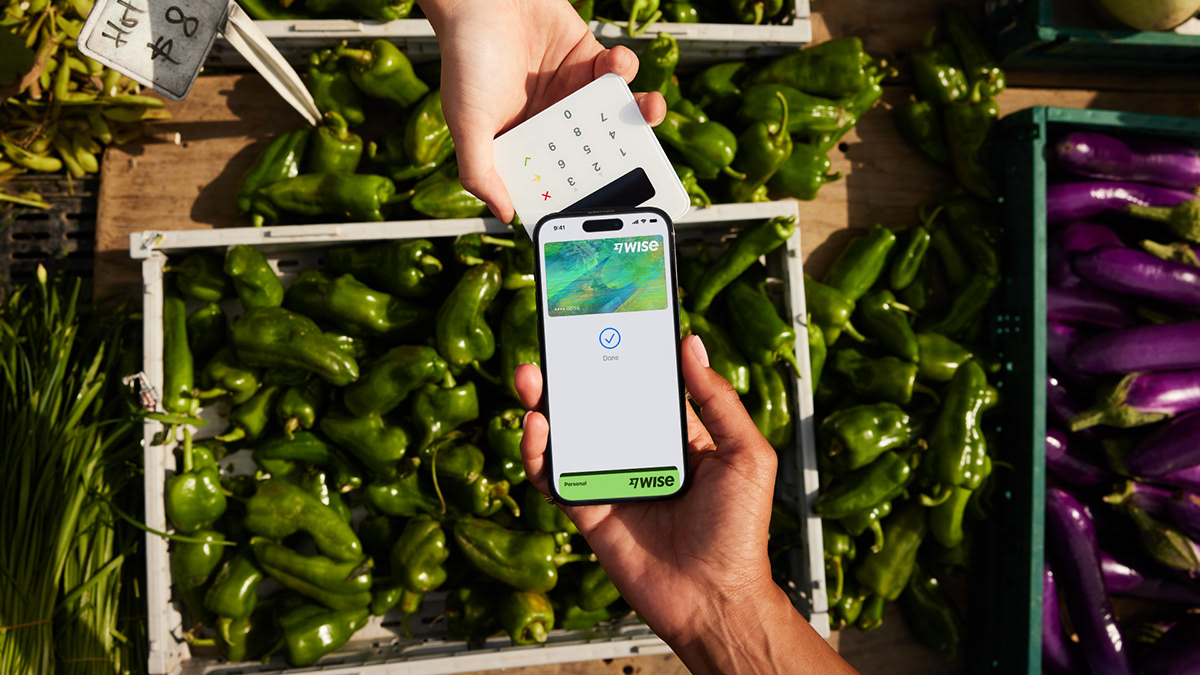 Wise���ڻ���Ʒ��VI�Ӿ�