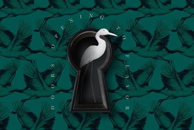 Altikapi����Ʒ��VI18luck����ȫվ 