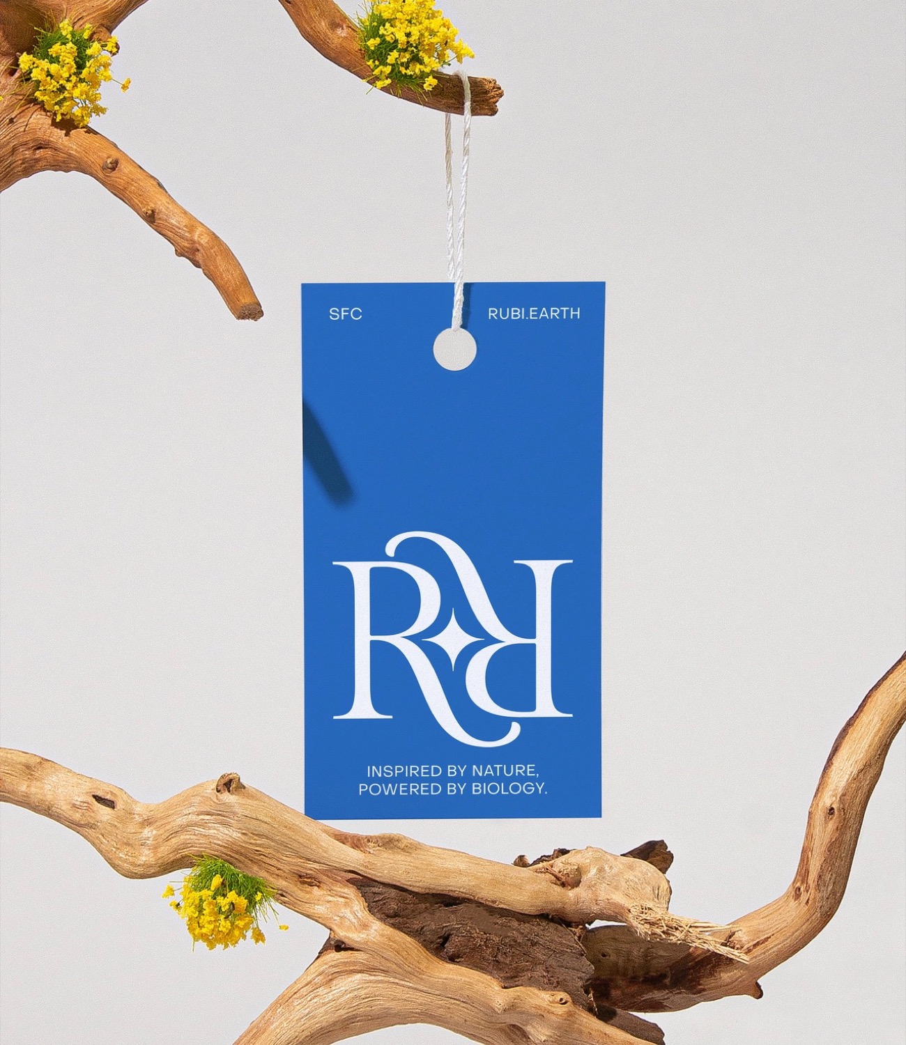 ��̬����Ʒ��Rubi�Ӿ�<a href=http://m.biwataku.com/ target=_blank class=infotextkey>18luck����ȫվ</a>