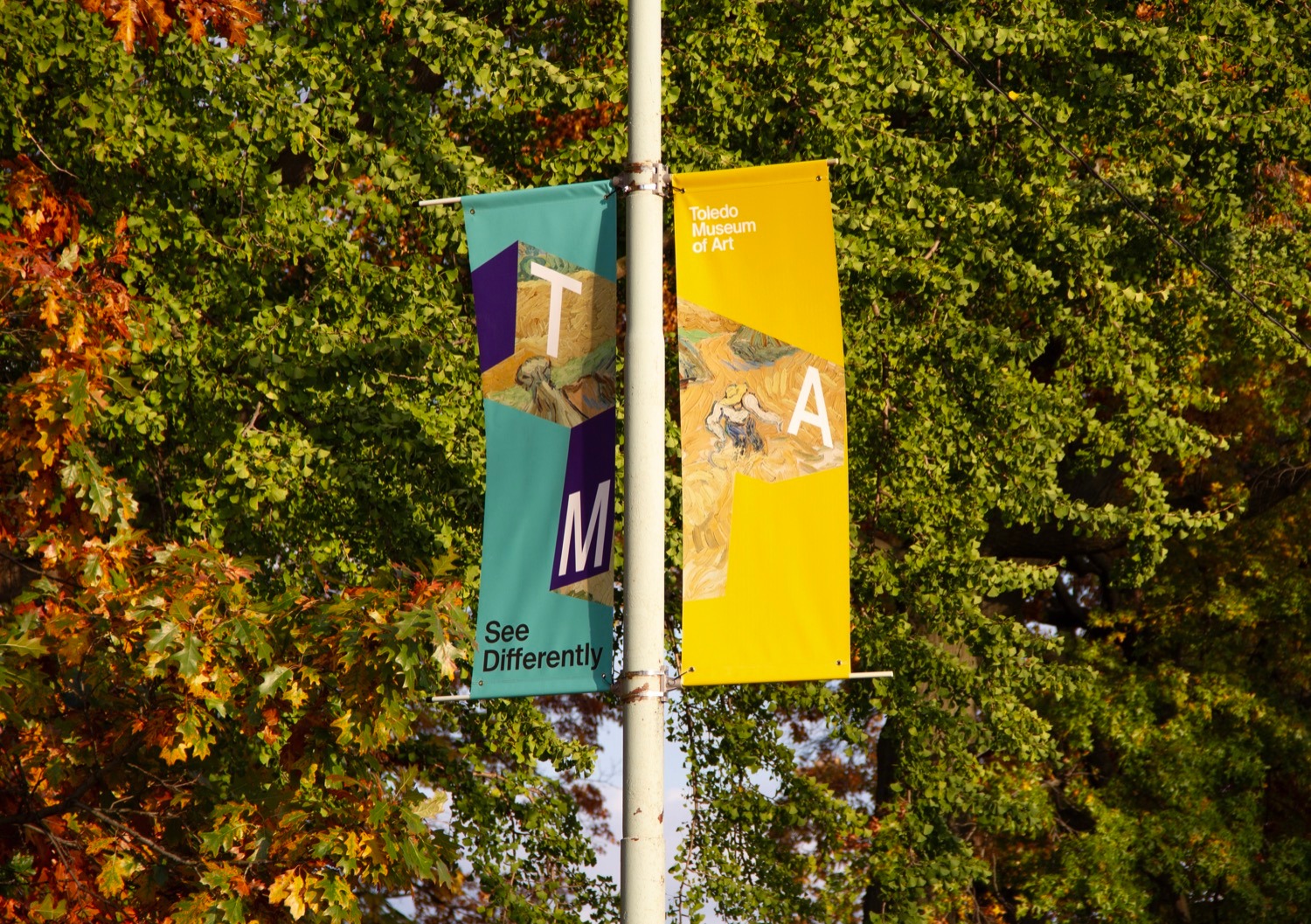 ���������������Ʒ������