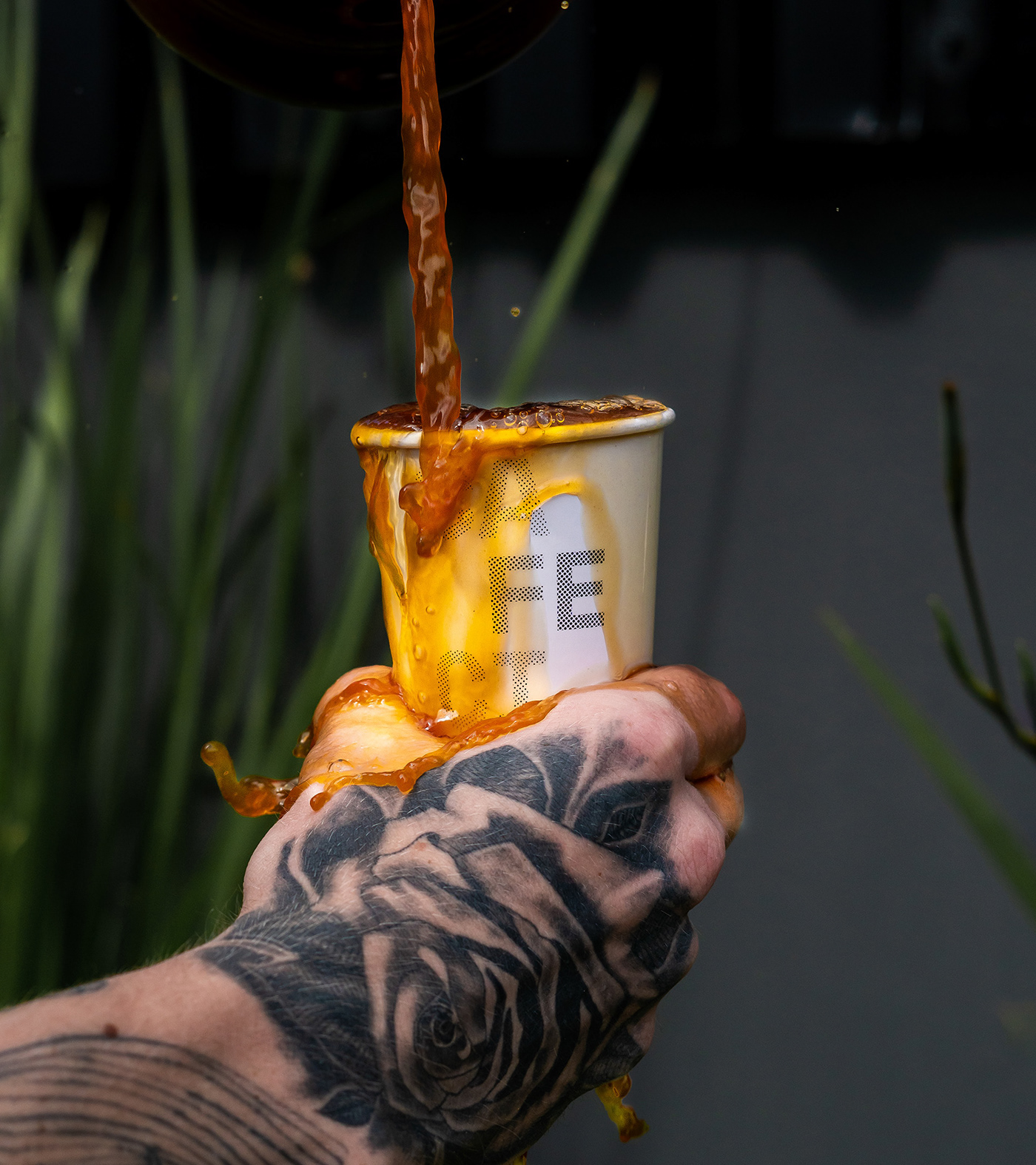 �������ȹ�CafecitoƷ��VI<a href=http://m.biwataku.com/ target=_blank class=infotextkey>18luck����ȫվ</a>