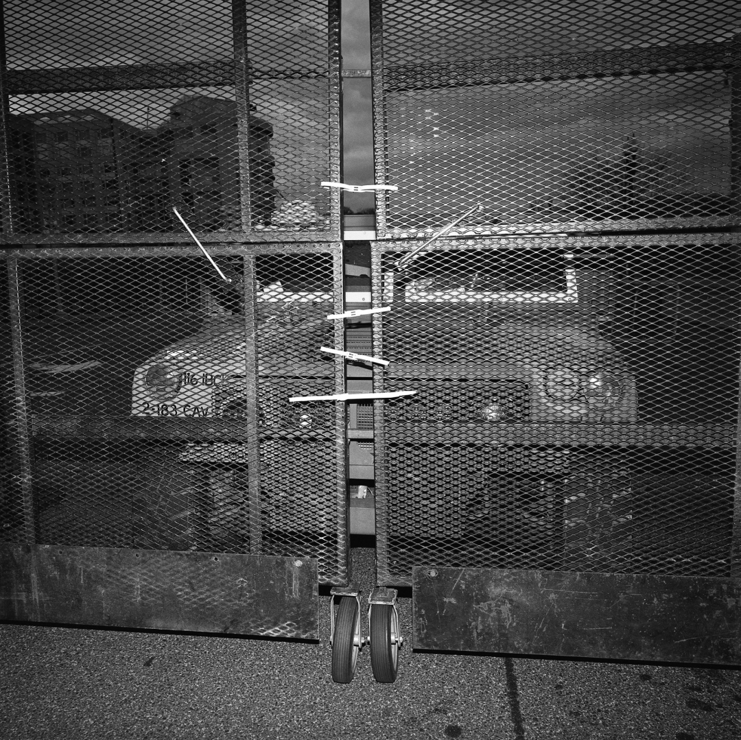 Political Year Zero,版权; Louie Palu