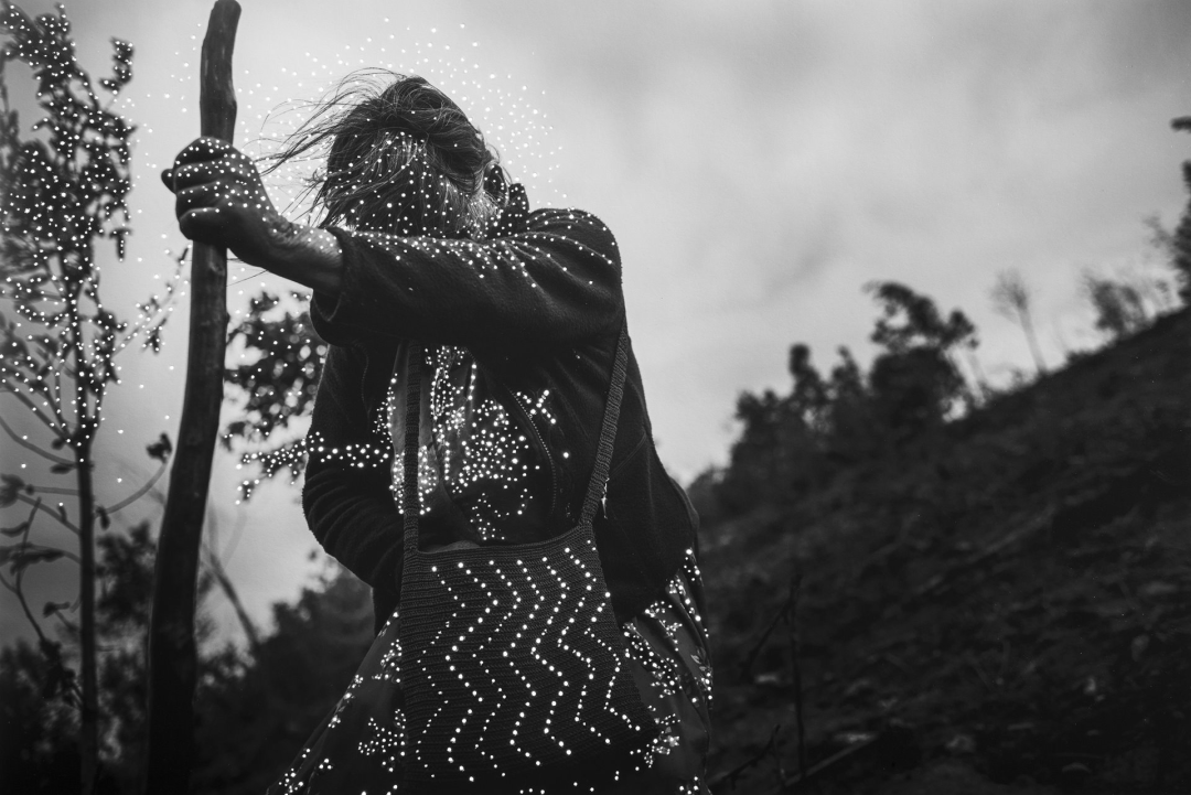 时光之花,版权; Yael Martínez