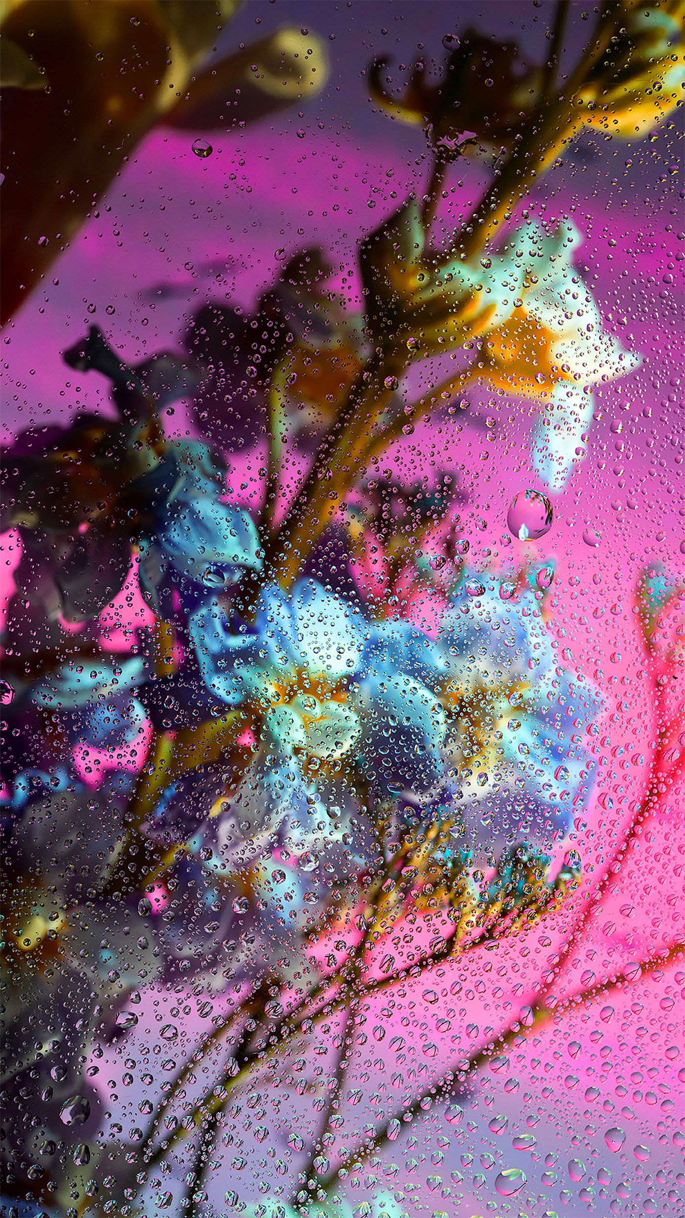 Ӣ����ӰʦDavy Evans�����桱������Ӱ��Ʒ