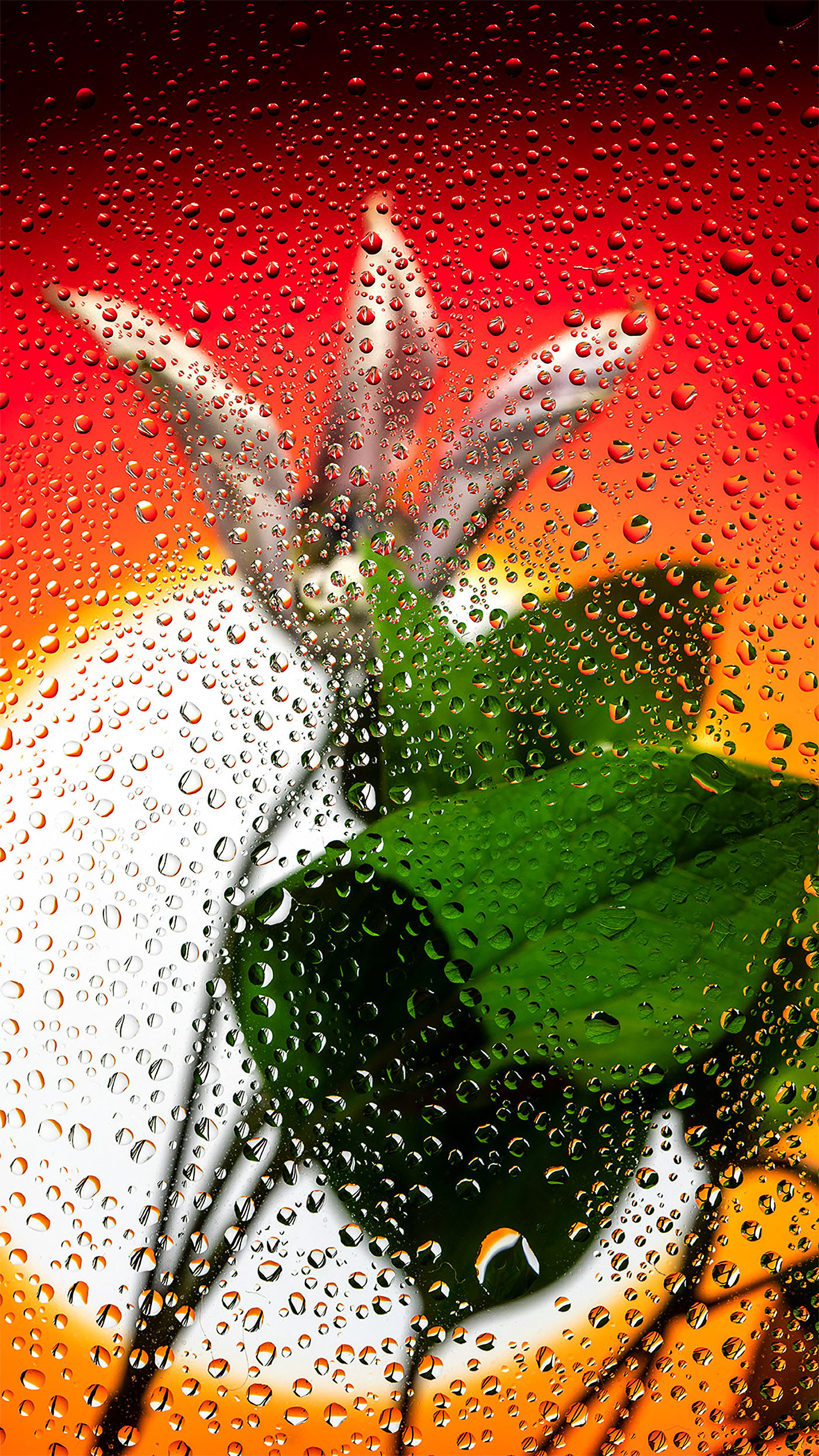 Ӣ����ӰʦDavy Evans�����桱������Ӱ��Ʒ