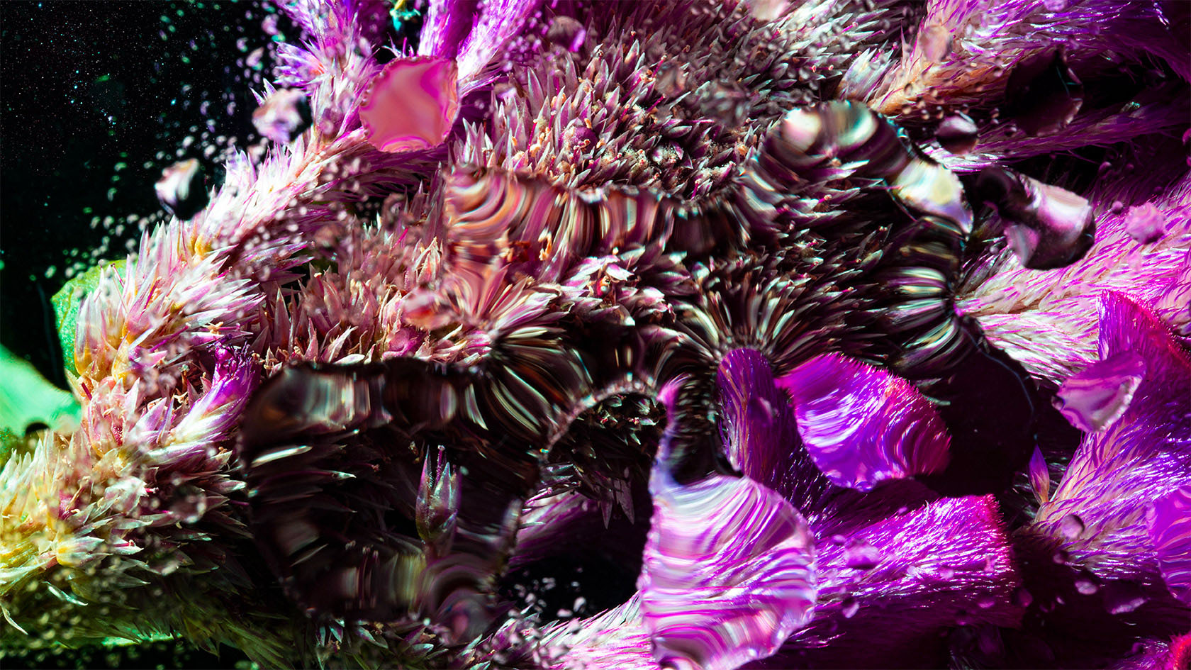 Ӣ����ӰʦDavy Evans�����桱������Ӱ��Ʒ