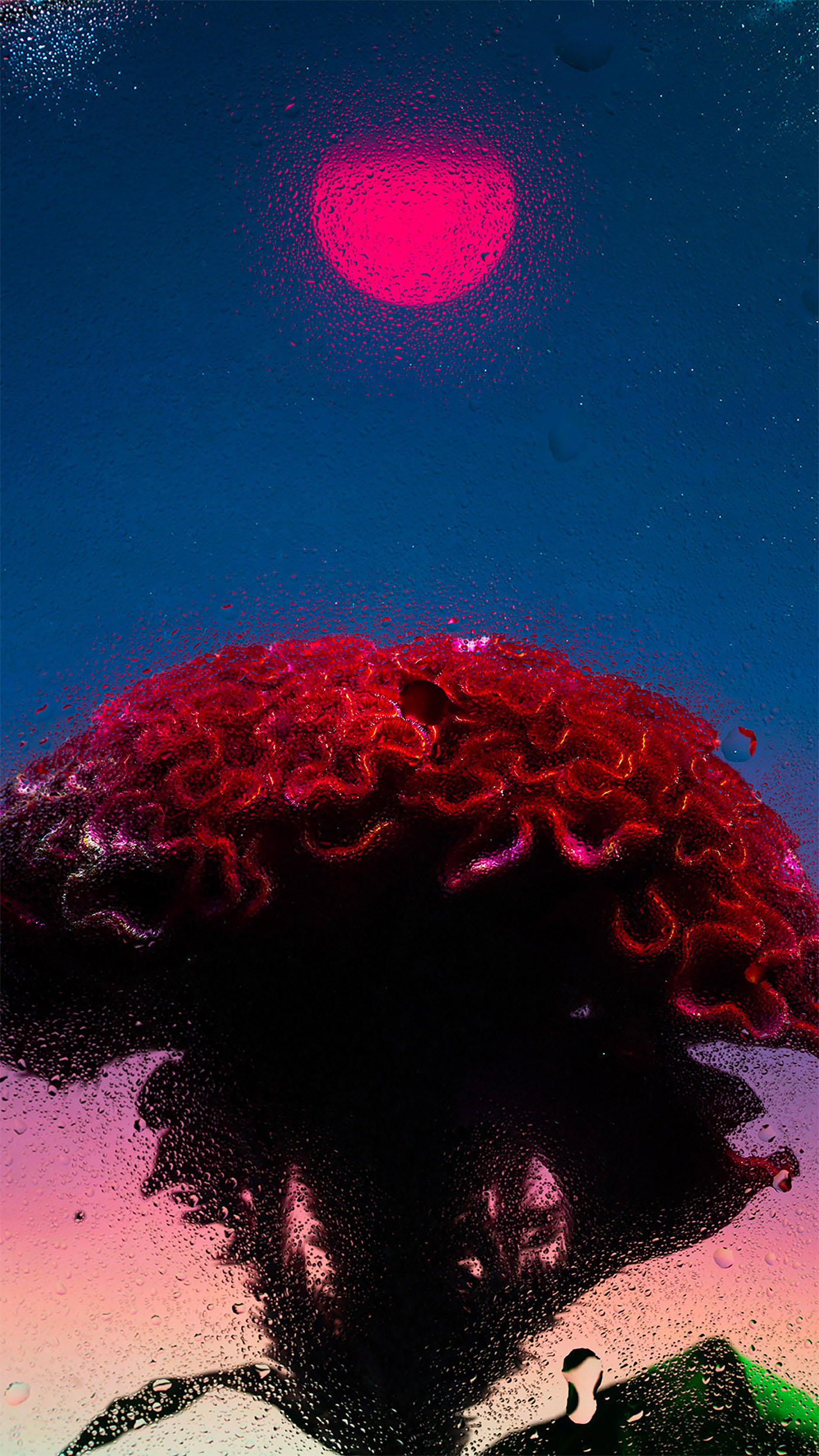 Ӣ����ӰʦDavy Evans�����桱������Ӱ��Ʒ