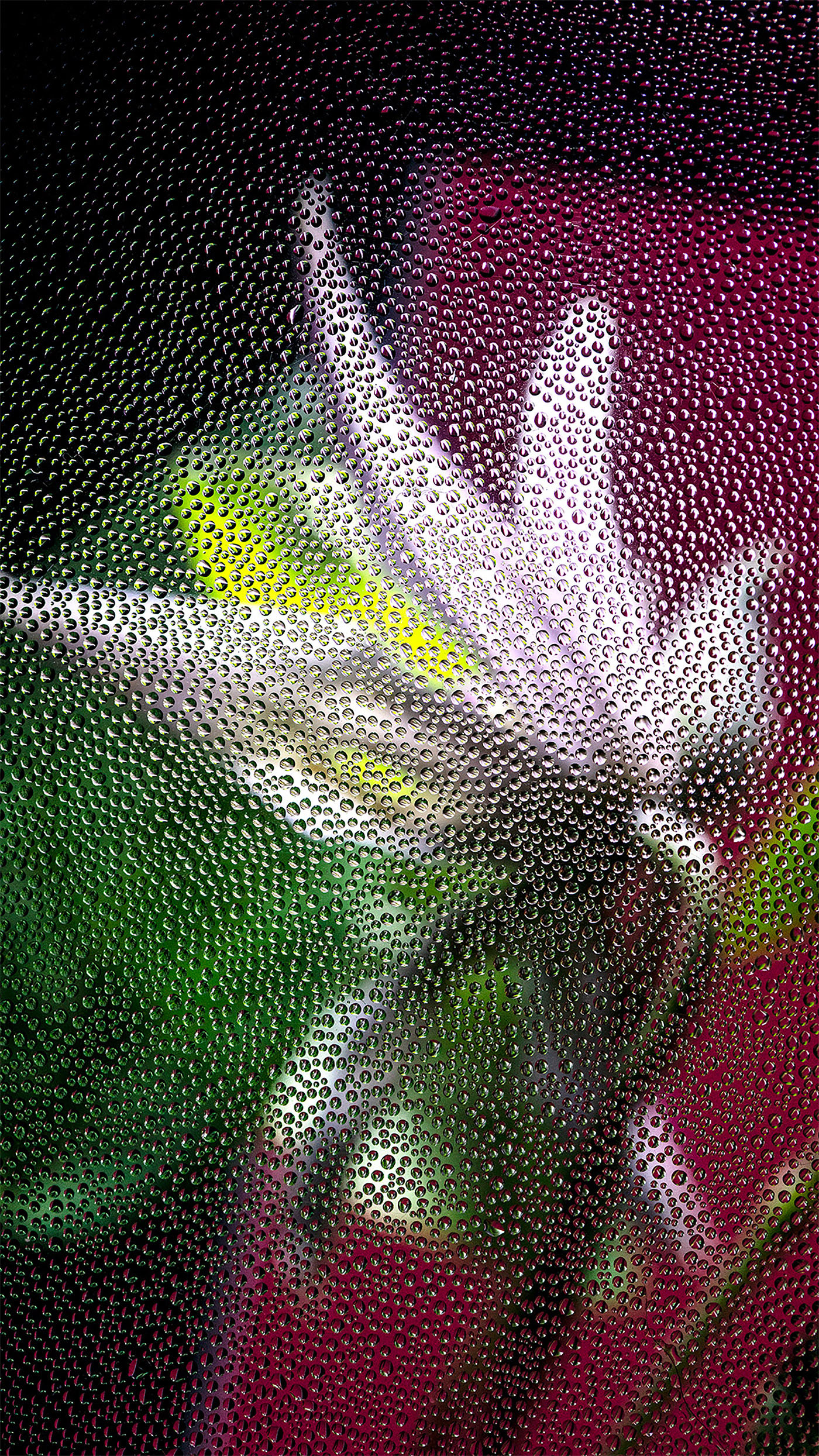 Ӣ����ӰʦDavy Evans�����桱������Ӱ��Ʒ