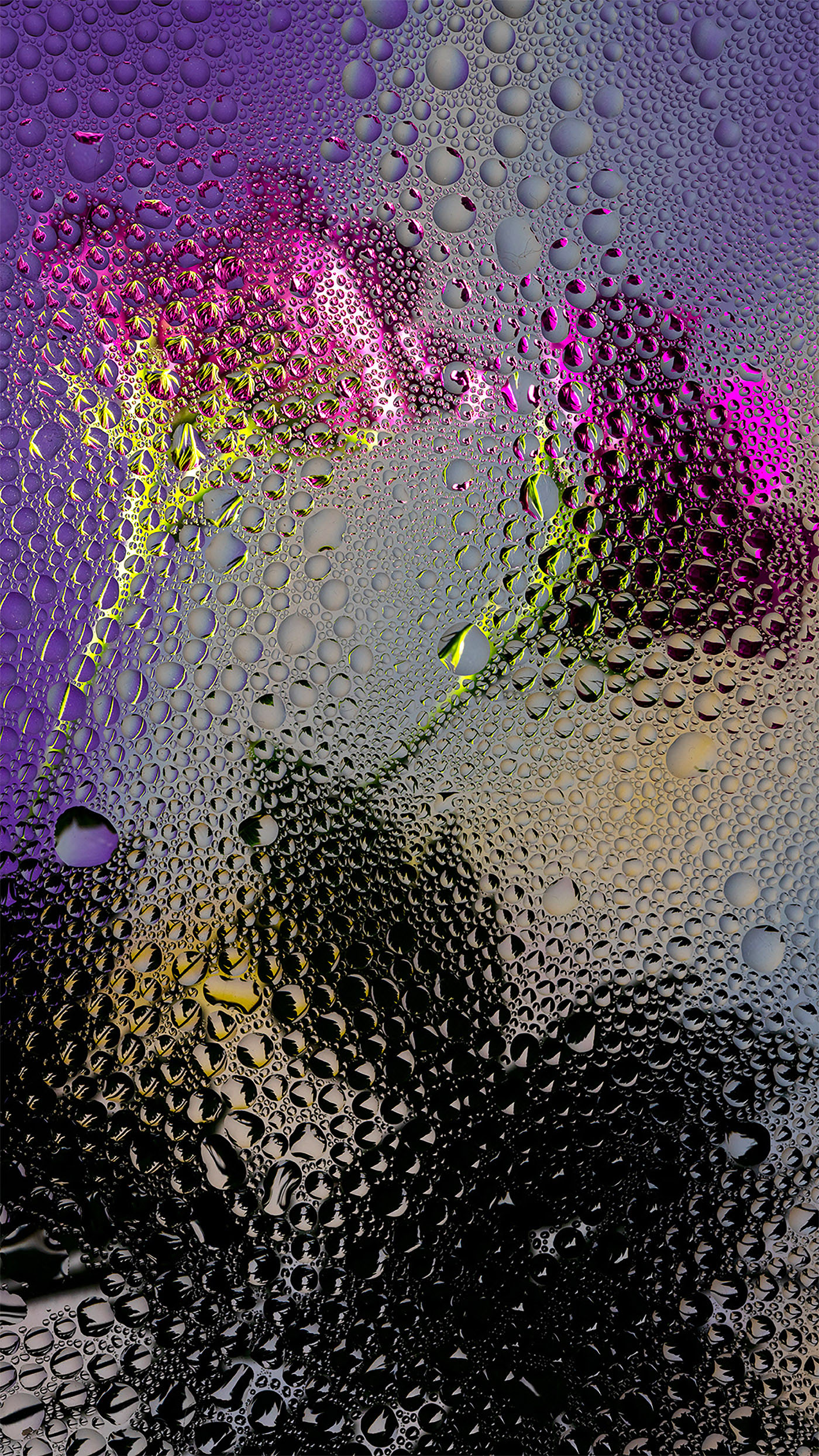 Ӣ����ӰʦDavy Evans�����桱������Ӱ��Ʒ