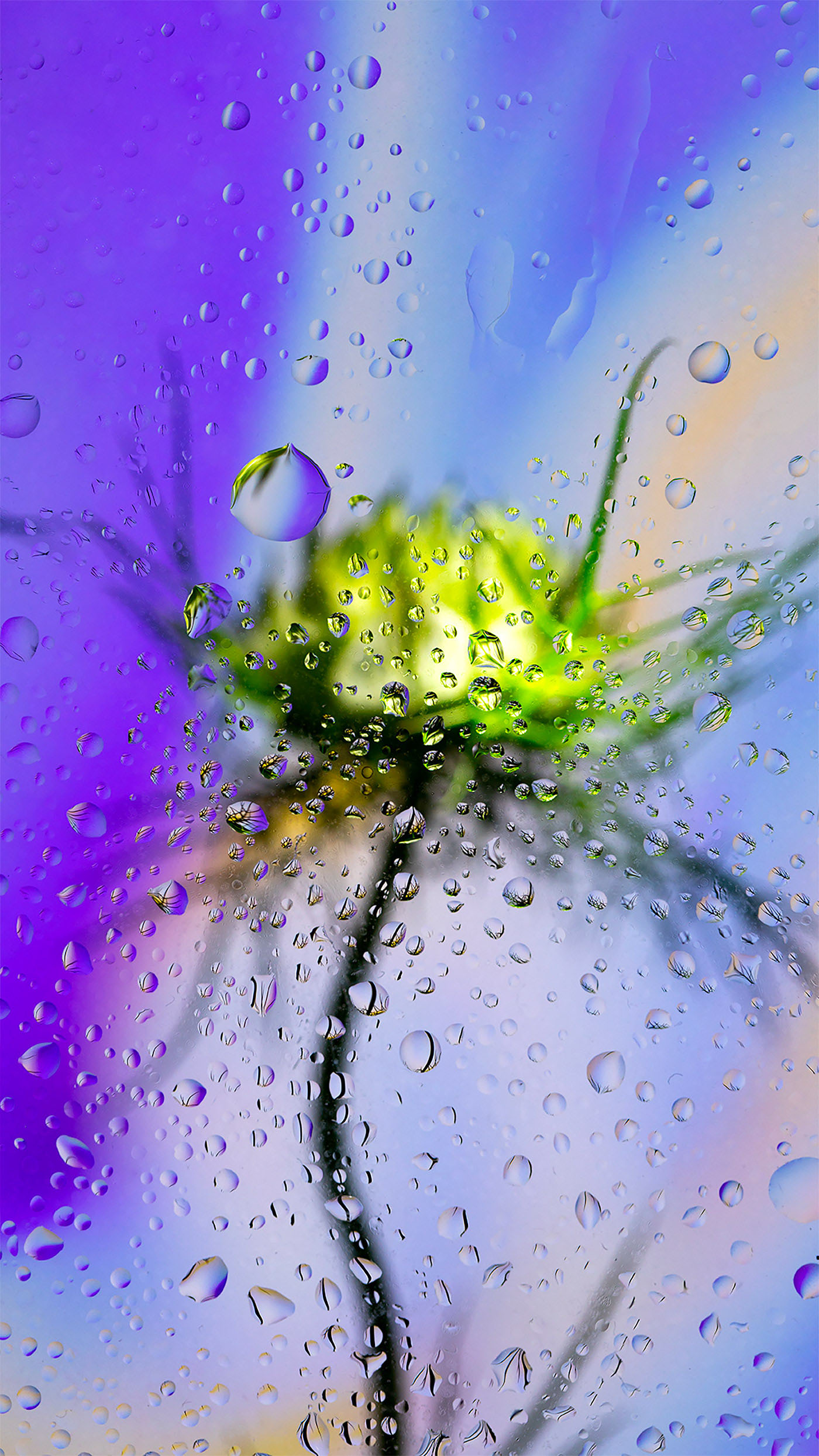 Ӣ����ӰʦDavy Evans�����桱������Ӱ��Ʒ