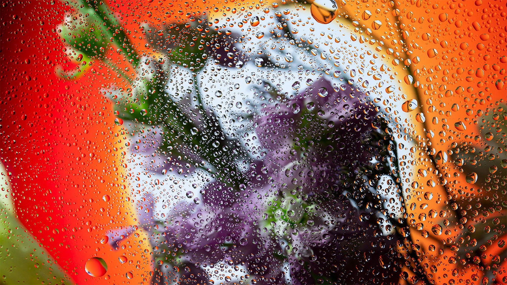 Ӣ����ӰʦDavy Evans�����桱������Ӱ��Ʒ