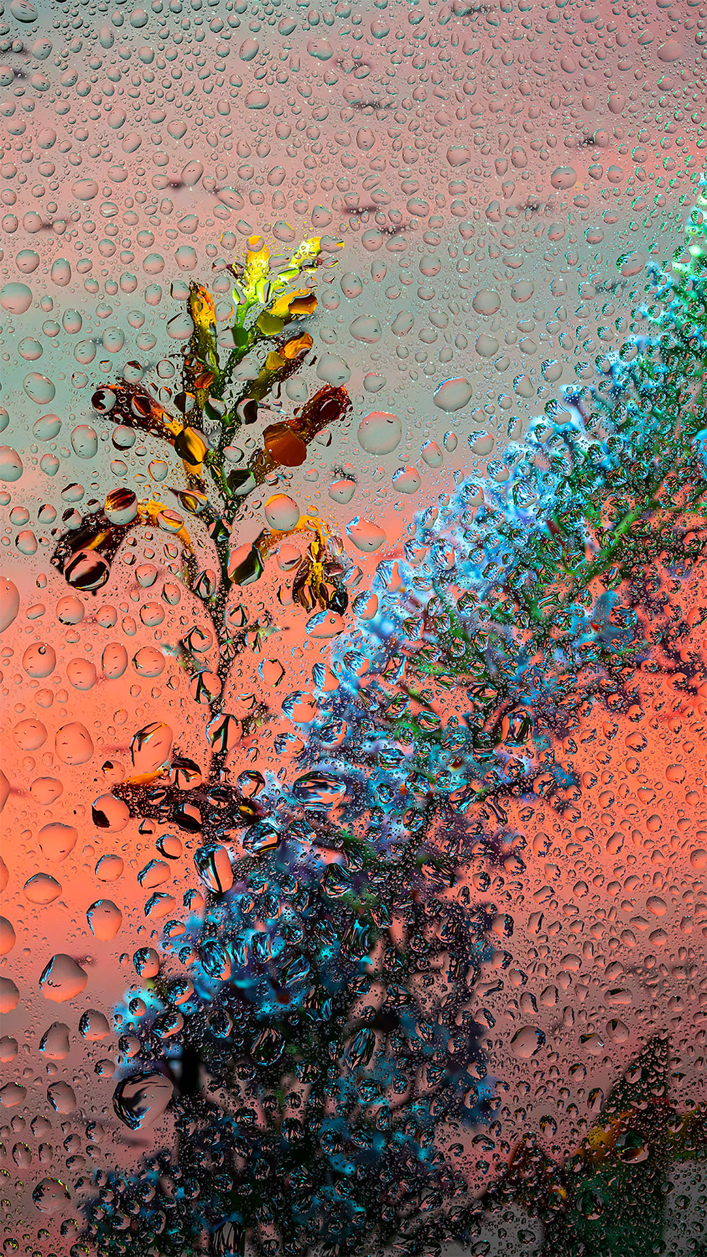 Ӣ����ӰʦDavy Evans�����桱������Ӱ��Ʒ