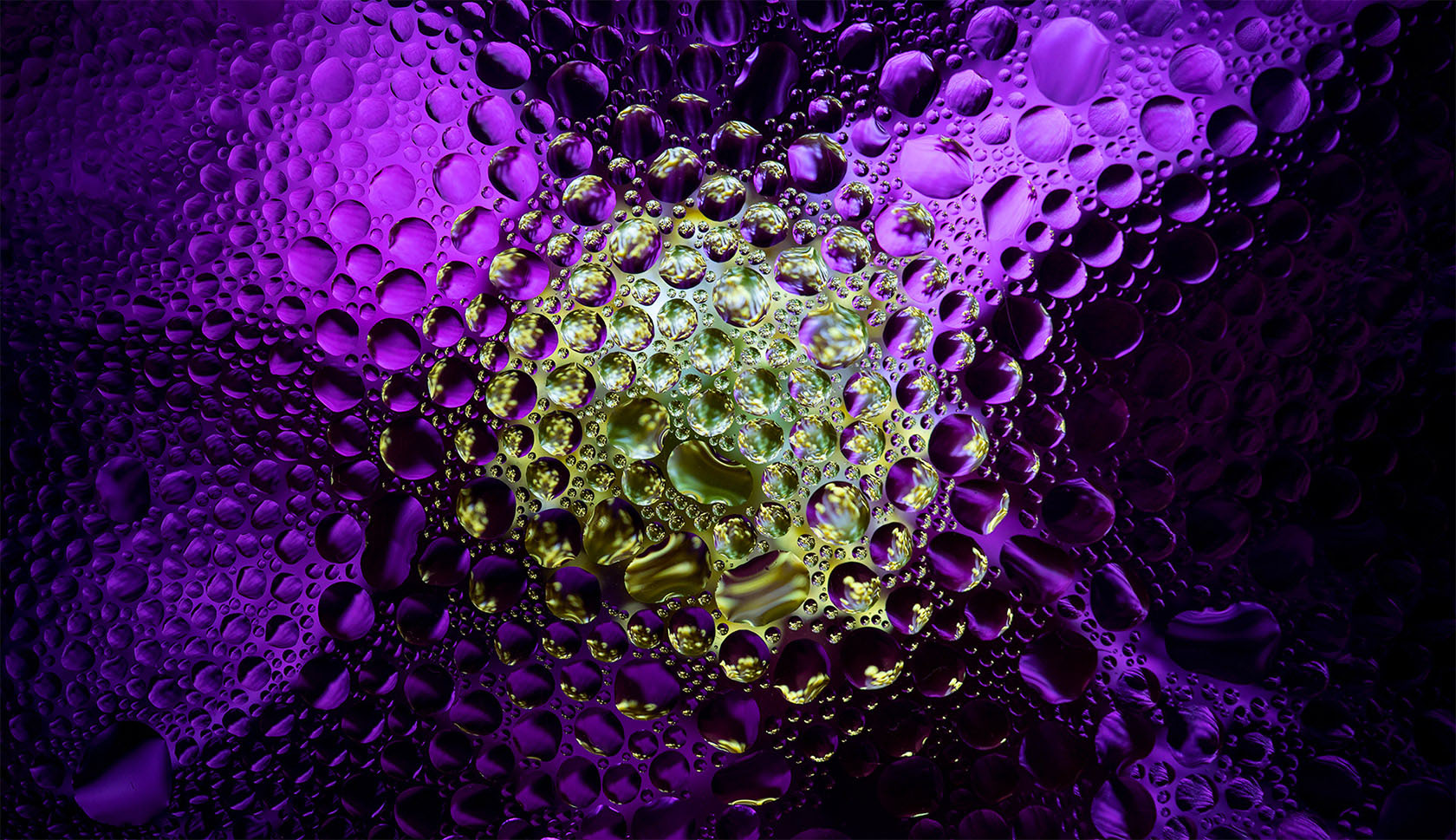 Ӣ����ӰʦDavy Evans�����桱������Ӱ��Ʒ