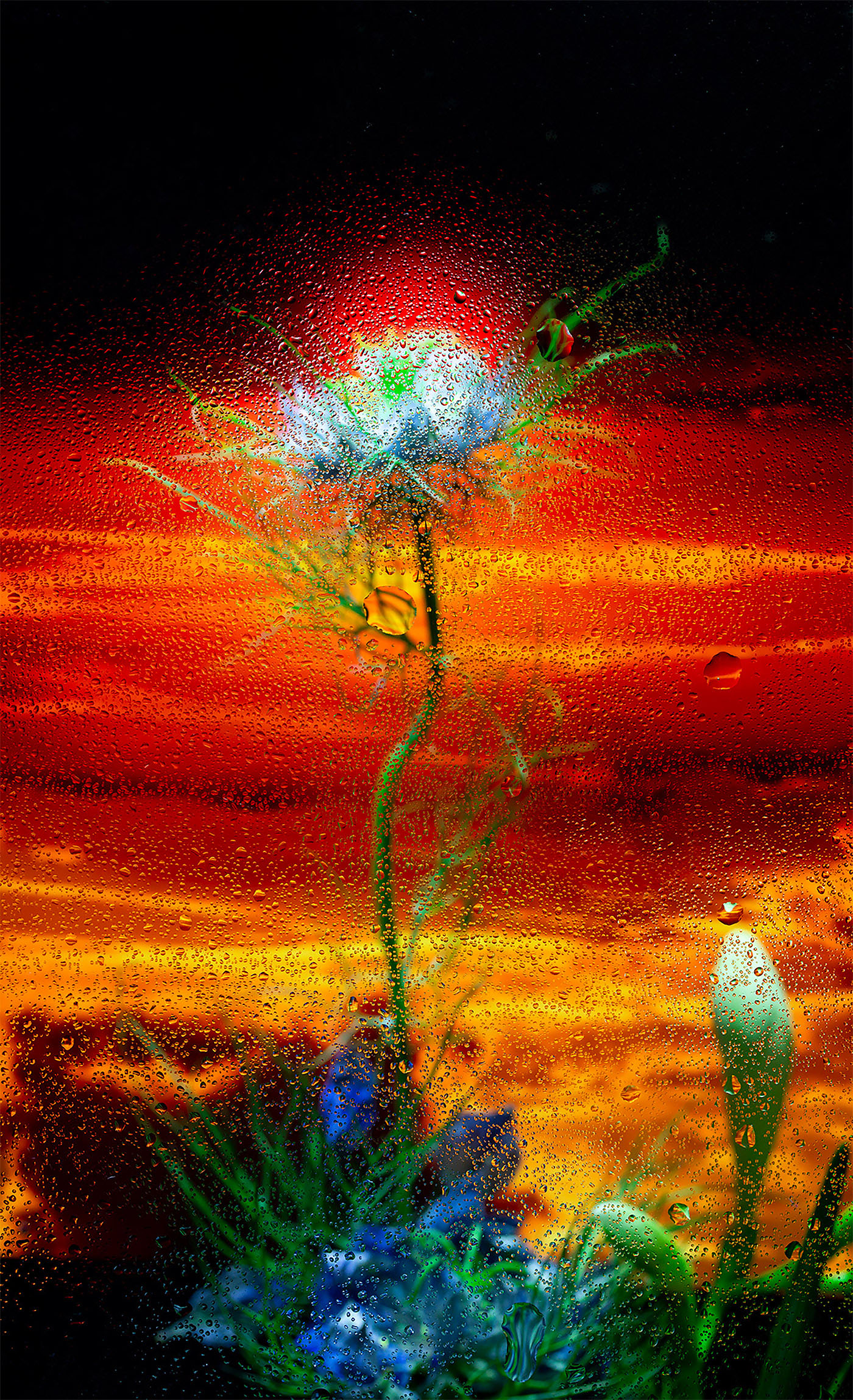 Ӣ����ӰʦDavy Evans�����桱������Ӱ��Ʒ