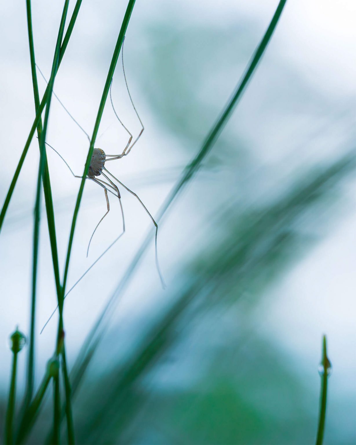 Aleksei Boiko��΢������