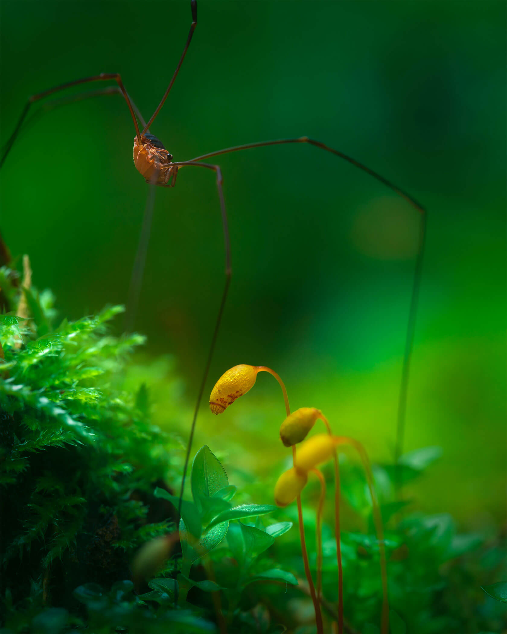 Aleksei Boiko��΢������