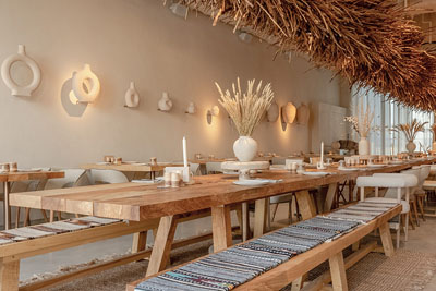 ����������ĵϰ�YOY�ڿ�����ʳ����