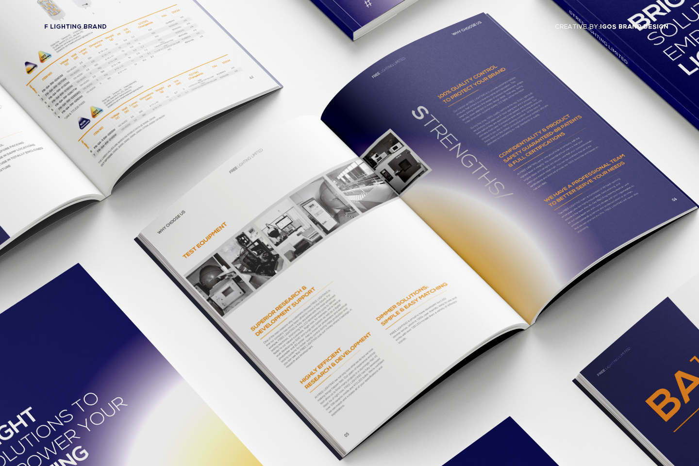 F LIGHTING�߶˻���