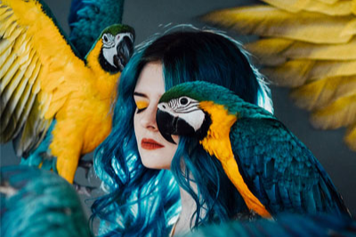 ����ά��������Jovana Rikalo�λ���Ӱ��Ʒ