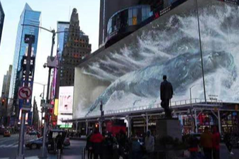 �ֲ������⻹����ʵ�Ľ�ͷ3D�����